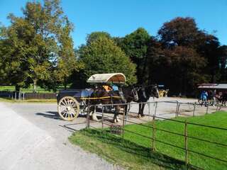 Дома для отпуска No 1 Killarney Holiday Village Vacation Home Килларни Дом с 4 спальнями-53